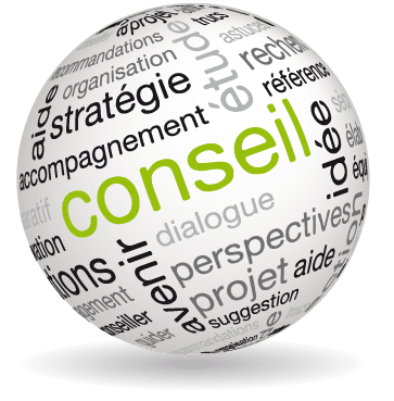 Conseil accompagnement projet.